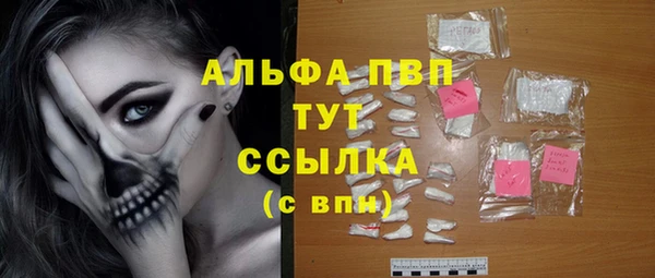 амф Новокубанск