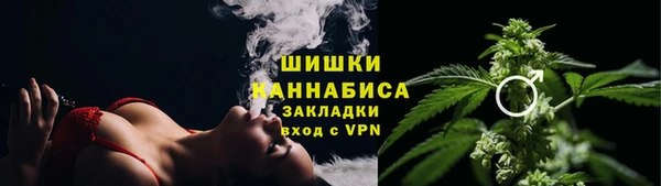 амф Новокубанск