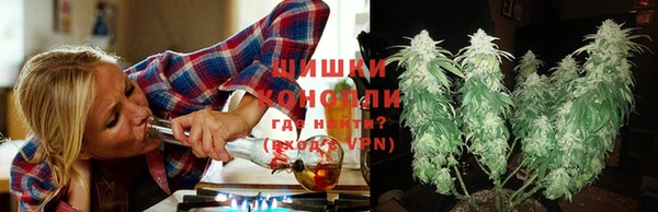не бодяженный Новодвинск