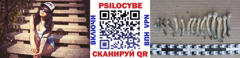 Галлюциногенные грибы MAGIC MUSHROOMS  хочу наркоту  Никольское 